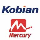 Mercury representation in Iran